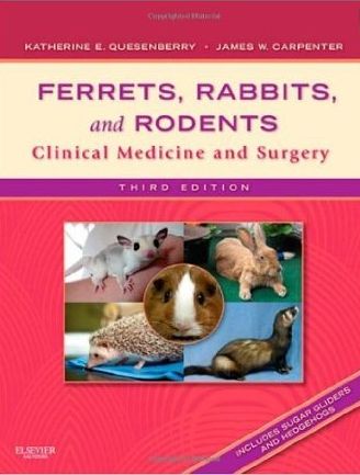 Ferrets, Rabbits and Rodents, Clinical Medicine and Surgery